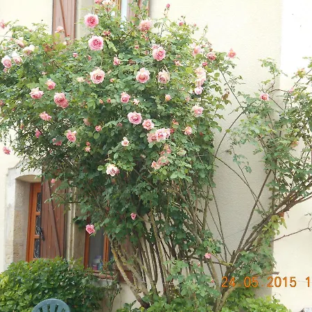 Bienvenue A La Campagne
